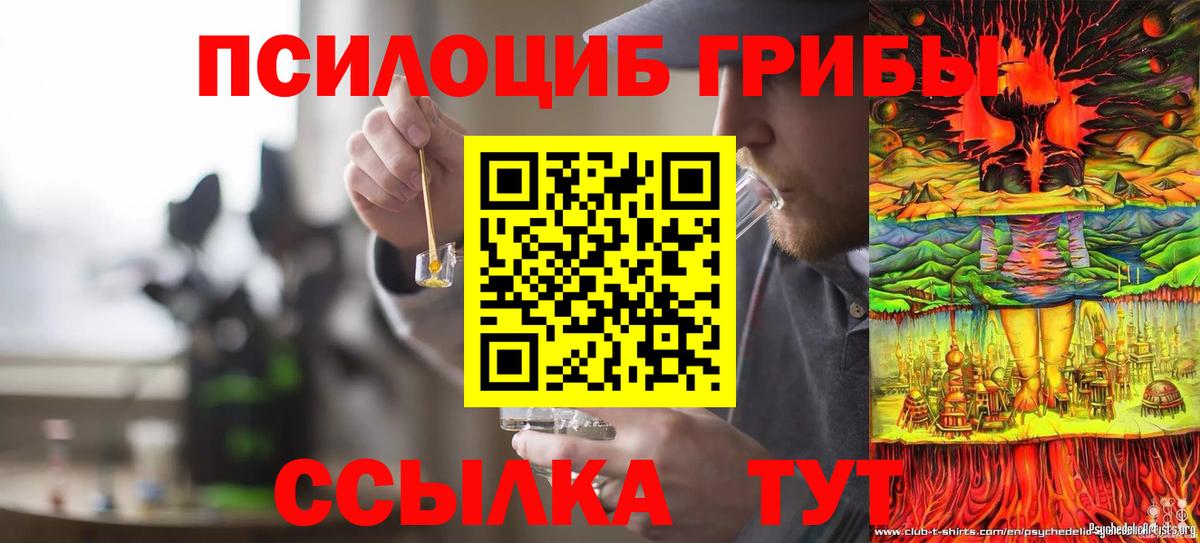 Псилоцибиновые грибы прущие грибы Сафоново